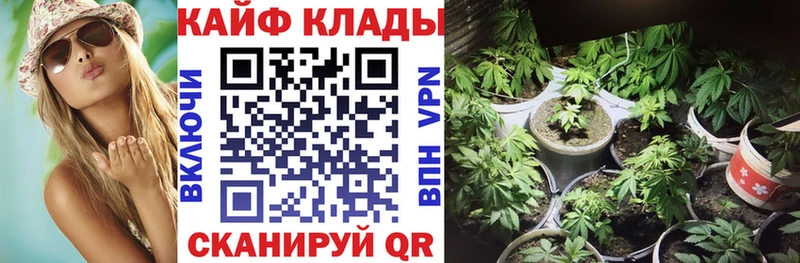 Как найти наркотики Сафоново Псилоцибиновые грибы ГАШ Канабис Кокаин A-PVP