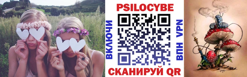 Псилоцибиновые грибы Psilocybine cubensis  Сафоново 