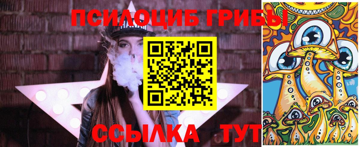 Псилоцибиновые грибы мухоморы  купить наркотик  Сафоново  Вход с VPN 